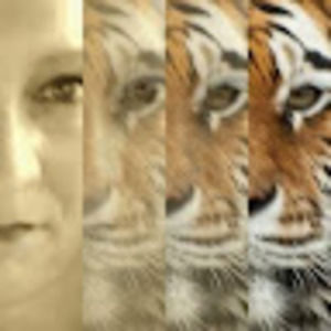 Meet your Posher, Debra j.